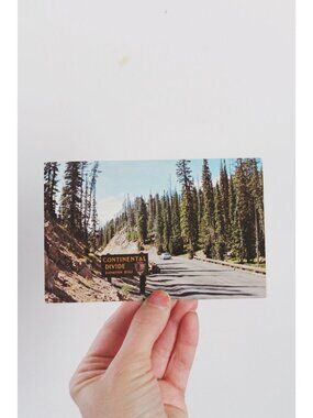 Vintage Continental Divide Yellowstone Postcard - 1970s Elevation 8262 Photo By